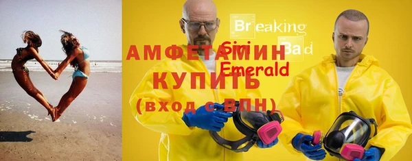 2c-b Инсар