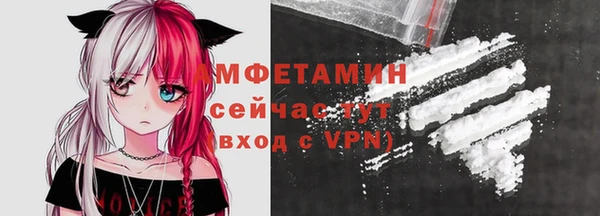 стаф Инта