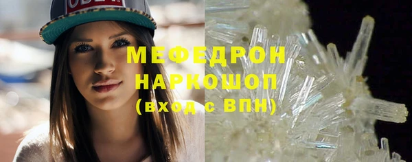 стаф Инта