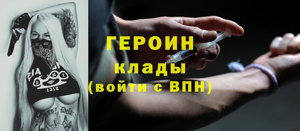 стаф Инта