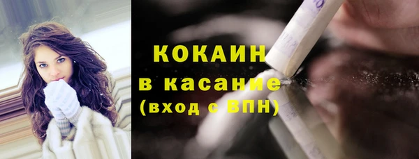 2c-b Инсар