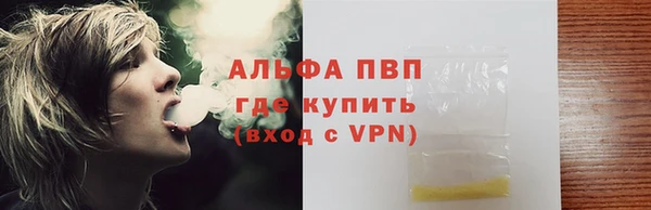 2c-b Инсар