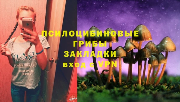 стаф Инта