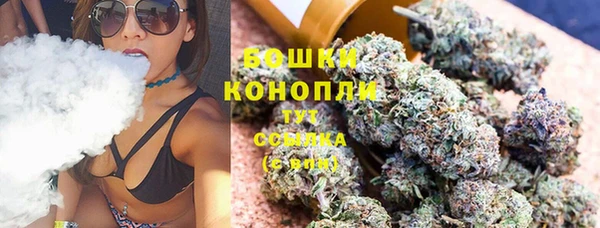 стаф Инта