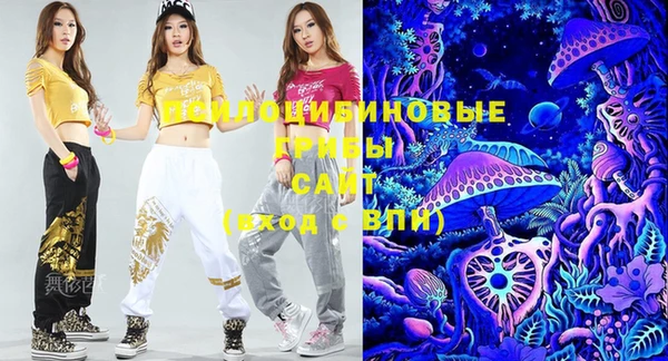 не бодяженный Каменногорск