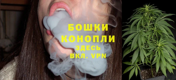 стаф Инта