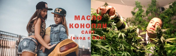 2c-b Инсар