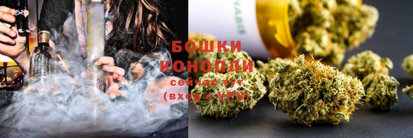 2c-b Инсар