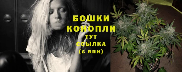 МДПВ Иннополис