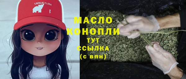 стаф Инта